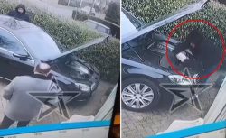 Böylesi ilk kez görüldü: İkinci el araç satışında yağ dolu tuzak