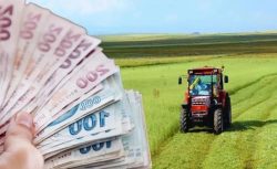 Çiftçilere yeni destek müjdesi! Başvuru şartları açıklandı