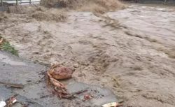 Rize’de sel felaketi! Köprü çöktü yollar ulaşıma kapandı
