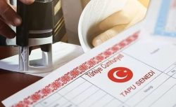 Dededen babadan miras kalan tapu sahipleri hemen bakın! Bu ibare varsa tapunuz elden gidebilir