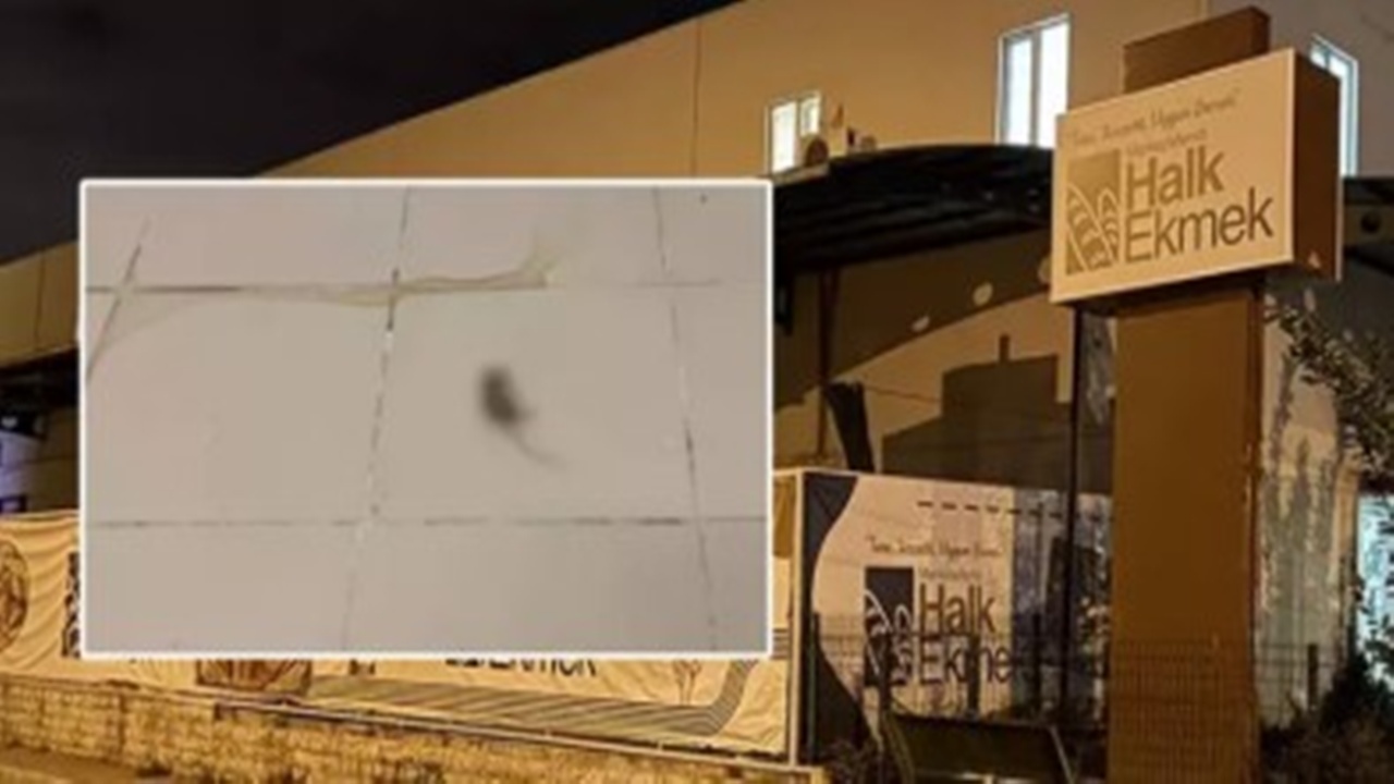 Denizli’de halk ekmek fabrikasında hijyen skandalı: Ölü fare bulundu