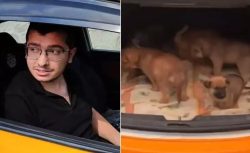 Köpeklere cinsel saldırıda bulunup öldüren doktora 9 yıl 9 ay hapis