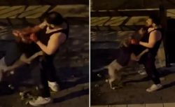 Pitbull dehşeti! Sahibini ısırdı, yardım çığlıkları sokağı inletti