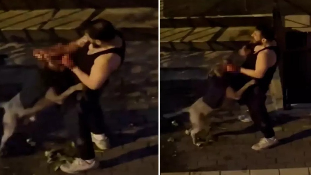 Pitbull dehşeti! Sahibini ısırdı, yardım çığlıkları sokağı inletti